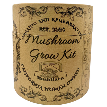 Mushroom Grow kit - Pearl Oyster