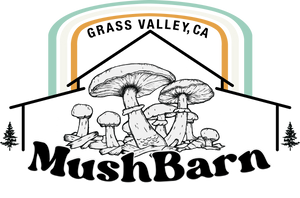 mushbarn