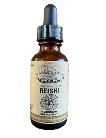 Reishi Mushroom Tincture