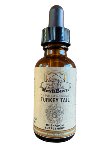 Turkey Tail Mushroom Tincture