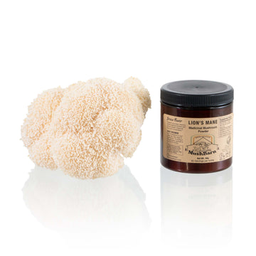 ReishiMushroom LionsManeMushroom LionsMane OysterMushroom MushroomTincture MushroomSupplement Mushrooms MushBarn MushroomGrowKit GrowingMushrooms GrowMushroomsAtHome MushroomGrowingKit MushroomKit MushroomGardenGiant MushroomBlock GardenGiant GardenGiantBlock MushroomJerky