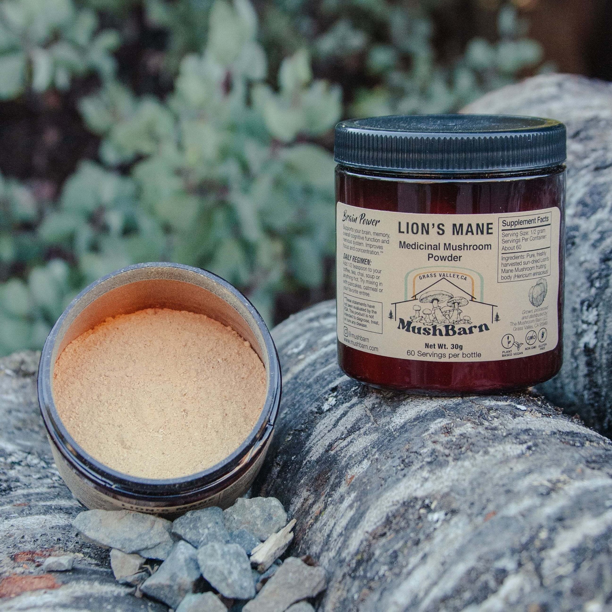 ReishiMushroom LionsManeMushroom LionsMane OysterMushroom MushroomTincture MushroomSupplement Mushrooms MushBarn MushroomGrowKit GrowingMushrooms GrowMushroomsAtHome MushroomGrowingKit MushroomKit MushroomGardenGiant MushroomBlock GardenGiant GardenGiantBlock MushroomJerky