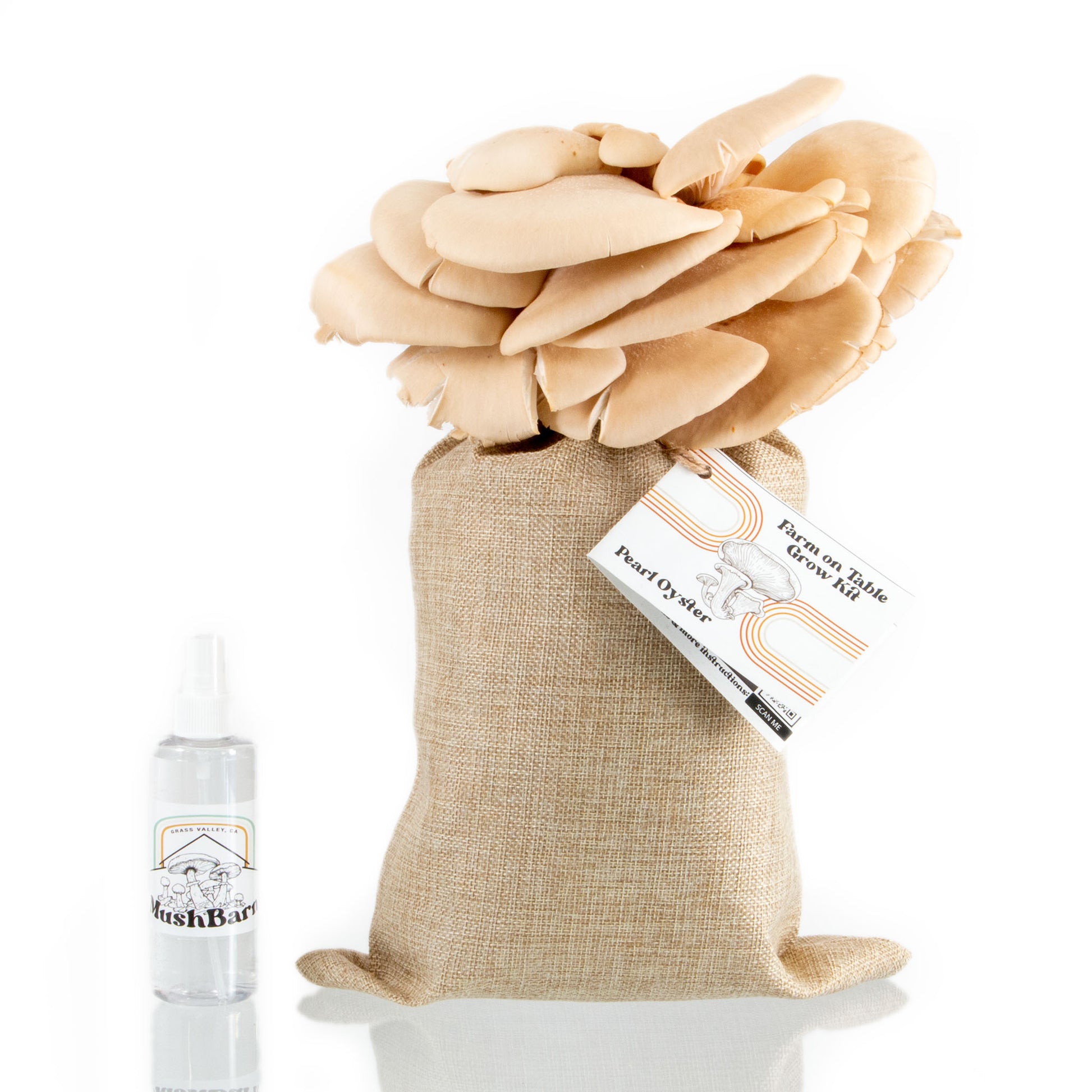 MushroomGrowKit MushroomGrowingKit MushroomCultivation MushroomGrowing MushroomKit GrowMushroomsAtHome MushroomGrowKits PearlOysterMushrooms OysterMushrooms