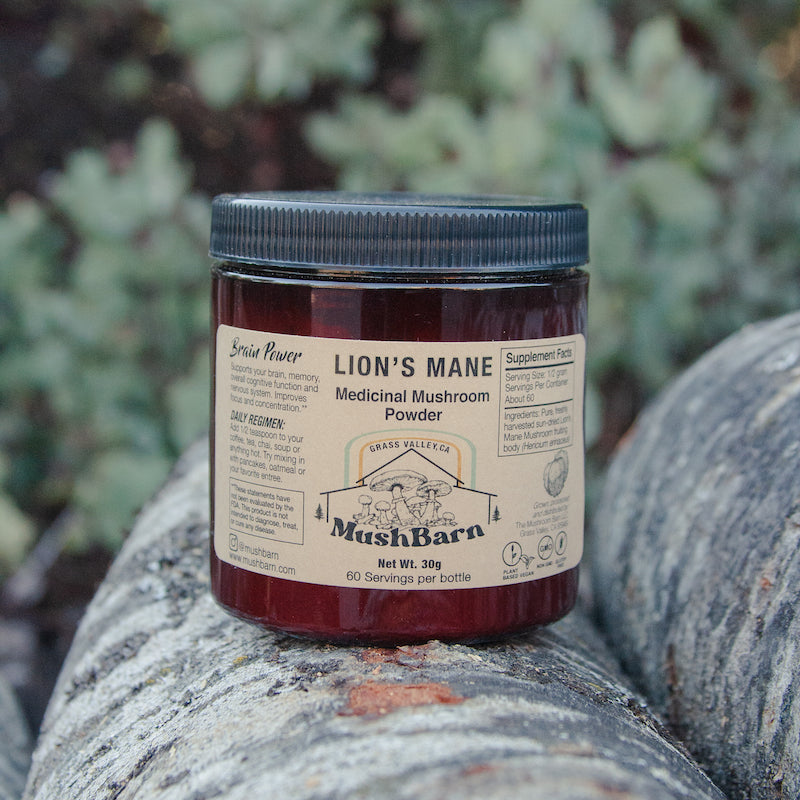 ReishiMushroom LionsManeMushroom LionsMane OysterMushroom MushroomTincture MushroomSupplement Mushrooms MushBarn MushroomGrowKit GrowingMushrooms GrowMushroomsAtHome MushroomGrowingKit MushroomKit MushroomGardenGiant MushroomBlock GardenGiant GardenGiantBlock MushroomJerky