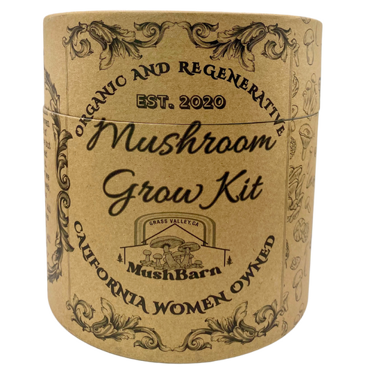 NEW Mushroom Grow kit - Blue Oyster