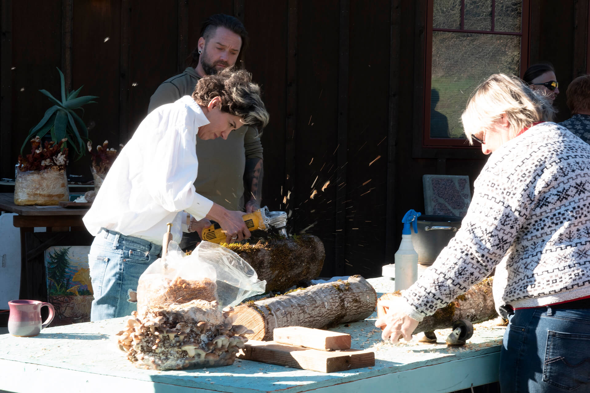 Mushroom Workshop - Shiitake Log Inoculation - at Heartland Collective